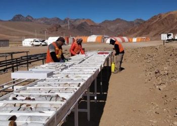 Argentina: Descubriendo Tesoros Ocultos: La Epopeya de Aldebaran en Altar, San Juan