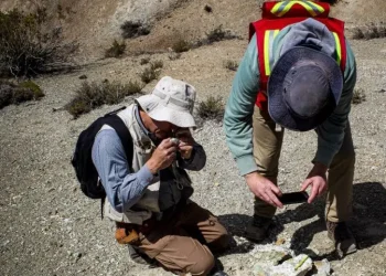 Chile: «Descubriendo Tesoros Ocultos: la Riqueza Mineral del Proyecto Caballos»
