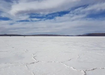 Internacionales: India Apunta Alto en la Carrera por el Litio: Altmin Explora Acuerdos con Australia