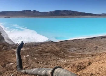 Argentina: ¡»La Carrera por el Litio: Coal India se Aventura en Tierras Argentinas con Ojo en el Futuro Energético»