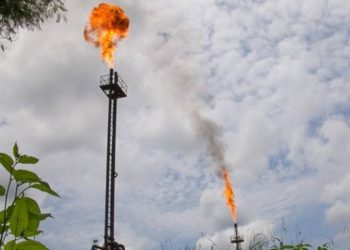 Ecuador: «Transformación Ambiental: El Impacto de Petroecuador en la Región»
