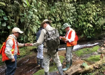 Perú: Desatando el Potencial: Palamina Asegura el Futuro de la Minería en Perú