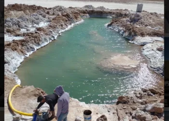 Argentina: Revolución de Litio en Argentina: American Salars Acelera el Futuro Energético con el Proyecto Salar de Litio Pocitos