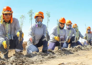 Perú: «Redefiniendo el Futuro: Tía María y el Debate sobre la Minería Responsable en Arequipa»