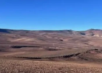 Chile: «En Busca del Tesoro Dorado: Innovador Programa de Exploración en Exploradora Norte de CopperEx Resources»