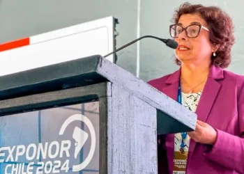 Chile: Revolución del Litio: Chile Anuncia la Creación del Instituto Tecnológico de Litios y Salares