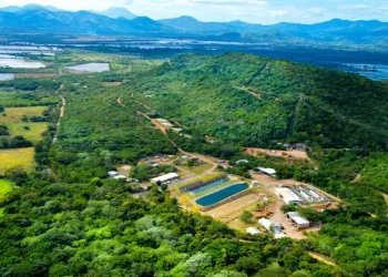Internacionales: «Cerro Blanco en la Encrucijada: Desafíos y Promesas del Proyecto de Oro de Bluestone Resources»