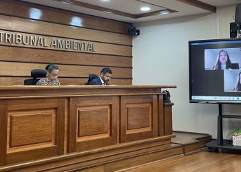 Chile: Batalla Ambiental en el Desierto: La Disputa por el Proyecto de Codelco