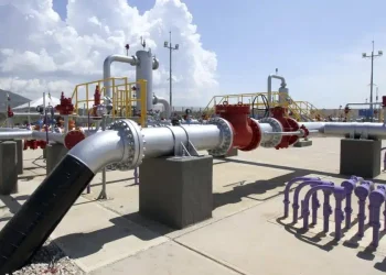 Internacionales: «BP Pausa Conversaciones Con Venezuela: ¿Se Desvanecerá el Potencial del Manakin-Cocuina?»