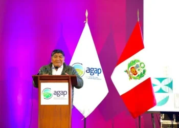 Perú: «China: El Gigante que Marca el Ritmo Económico de Perú»