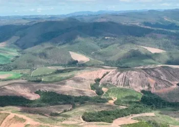 Brasil: «Meteoric Resources: Construyendo un Futuro Brillante de Imán en Brasil»