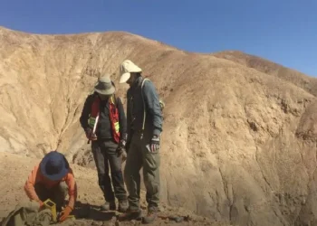 Perú: ¡Descubriendo Tesoros Ocultos en las Alturas de Perú!