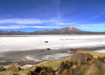 Chile: «El Juicio del Ambiente: Quiborax bajo la Lupa por Daño en Salar Surire»