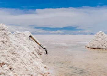 Argentina: «Argentina Eleva su Juego: El Explosivo Auge del Litio en el País»