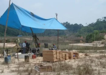 Brasil: ¡Oro en el Horizonte! Cabral Gold Avanza en Cuiú Cuiú