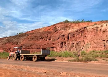 Brasil: ¡Tierra Rara, Oportunidad Brillante!