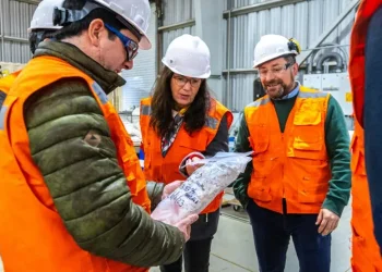 Chile:Innovación en extracción de tierras raras en Chile y Brasil