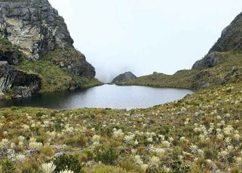 Colombia: «Colombia Triunfa en la Defensa de su Tesoro Natural: Victoria Histórica en Disputa con Empresa Minera Canadiense»