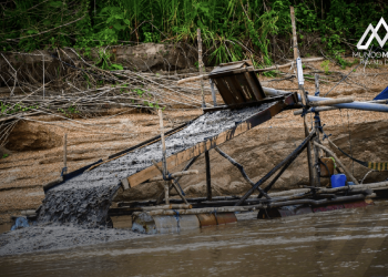 Ecuador: «Oro Sangriento: El Oscuro Legado de la Minería Ilegal en Ecuador»