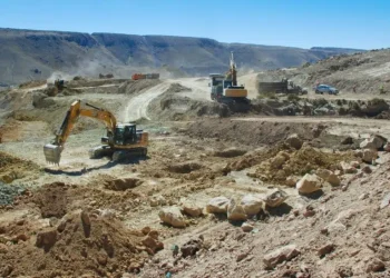 Bolivia: Explorando el Tesoro de Paca Silver Elephant Mining a la Caza de Plata