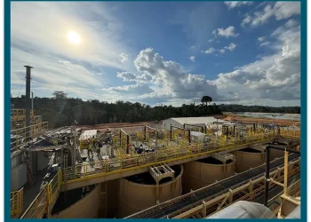México: Reyna Gold Un Brillo Prospectivo en la Exploración Mineral