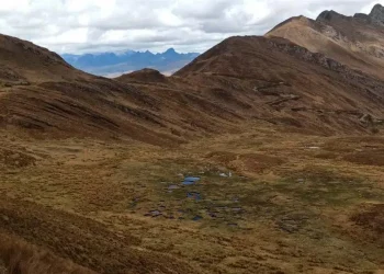 Perú: Nexa en la Encrucijada: Nuevas Oportunidades y Desafíos en el Horizonte