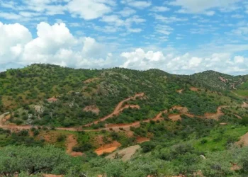 México: Kootenay Silver Un Descubrimiento Brillante en Chihuahua