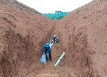 Brasil: Altamira Gold Illuminando El Futuro Del Oro en Brasil