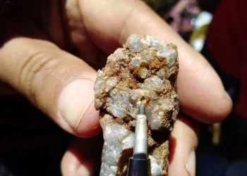 Perú: ¡Usicayos Despierta! El Futuro del Oro Brilla en Palamina