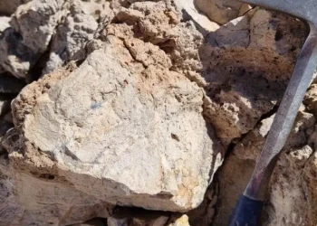 Argentina: Mogotes Metals Descubre un Tesoro en el Proyecto Filo Sur: Rincon se Expande