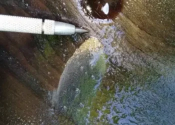 Ecuador: El Brillo del Oro en Crunchy Hill Un Acierto de Aurania Resources