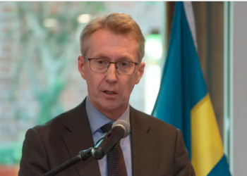 Argentina: Alianzas Estratégicas El Futuro Brillante de la Minería entre Suecia y Argentina