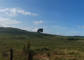 Brasil: Bravo Mining Desvela Oportunidades Enormes en el Corazón de Luanga