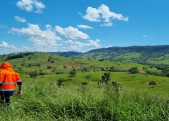 Brasil: Meridian Mining Descubriendo Tesoros en Santa Helena