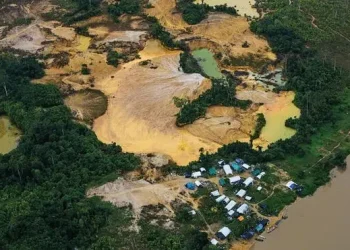 Brasil: Crisis del Oro en Brasil Producción se Desploma un 84% en 2023