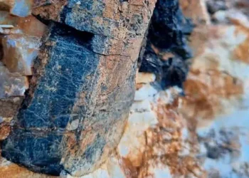 Brasil: Summit Minerals Refuerza su Dominio en el Mercado del Niobio