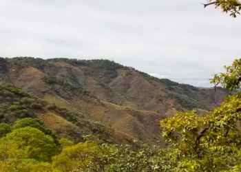 México: Fuerte Metals Atrae la Atención con Hallazgos de Alta Ley en el Proyecto Cristina