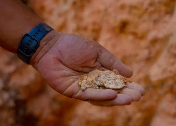 Brasil: Se Prepara para Brillar en la Producción de Tierras Raras