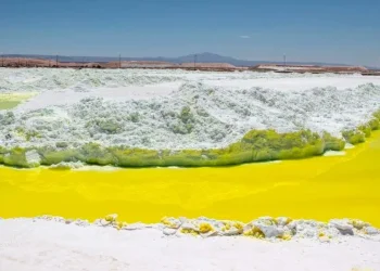 Chile: La Batalla del Litio Tianqi Lithium Lucha por su Voz en el Acuerdo de SQM
