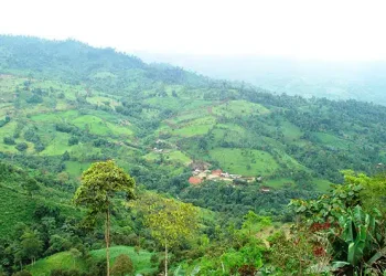 Ecuador: Silvercorp Metals Impulsa el Proyecto El Domo: Una Nueva Era para la Minería en Ecuador