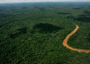Ecuador: Ecuador Marca un Hito Ambiental Inicia el Cierre de Pozos Petroleros en Reserva Natural