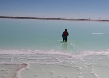 Chile: Electric Royalties Expande su Horizonte Comercial con la Adquisición de Flujo de Caja de Cobre