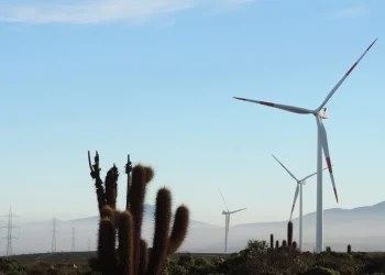 Colombia: Apuesta al Futuro Verde: US$ 40.000 Millones para la Transición Climática