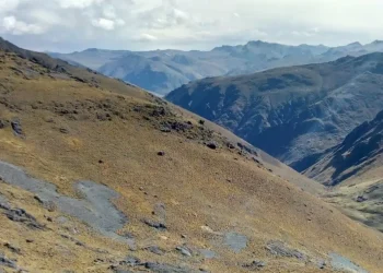 Perú: Palamina Acelera su Crecimiento en el Mercado Peruano