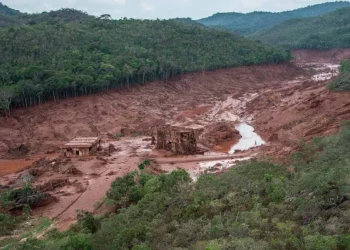 Brasil: El Colapso de la Esperanza El juicio que define el futuro de BHP