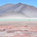 Chile: El Futuro del Litio en Chile Salar de Ollagüe se Consolida como Opción Clave
