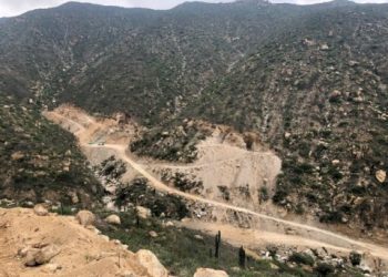 Perú: Peruvian Metals Se Adjudica el 100% de Palta Dorada