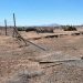 Chile: Alerta Ambiental en Los Colorados