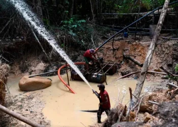 Brasil: Pará en la Mira La Controversia de la Minería de Oro Antes de la COP30