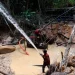 Brasil: Pará en la Mira La Controversia de la Minería de Oro Antes de la COP30